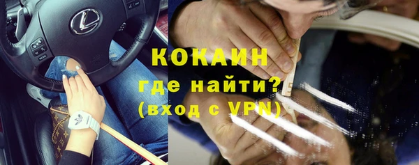 шишки Покачи