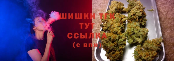 твердый Пересвет