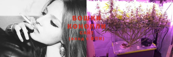 шишки Покачи