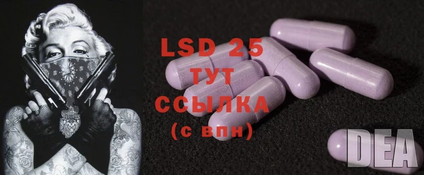 шишки Покачи