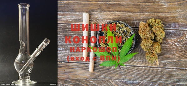 шишки Покачи