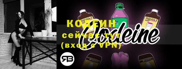 шишки Покачи