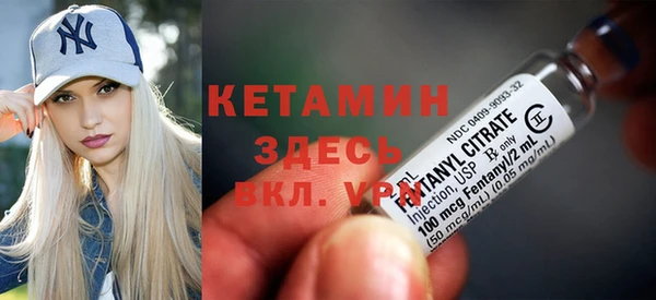 шишки Покачи