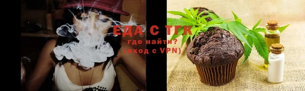 шишки Покачи