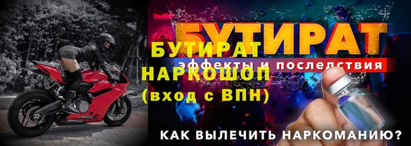 шишки Покачи