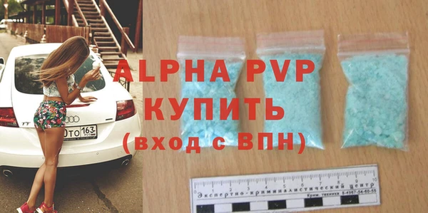 шишки Покачи