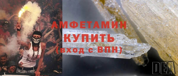 шишки Покачи